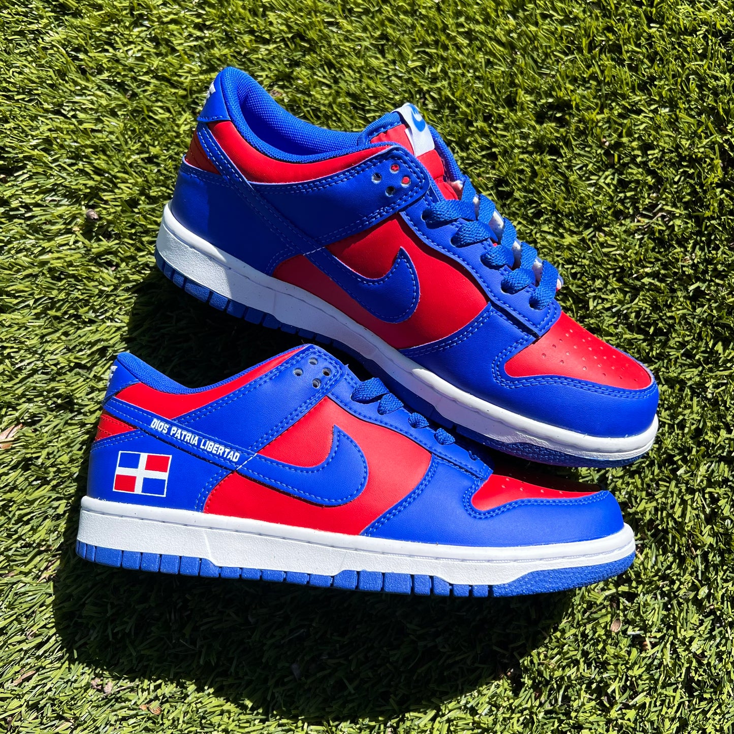 DR Dunk Low